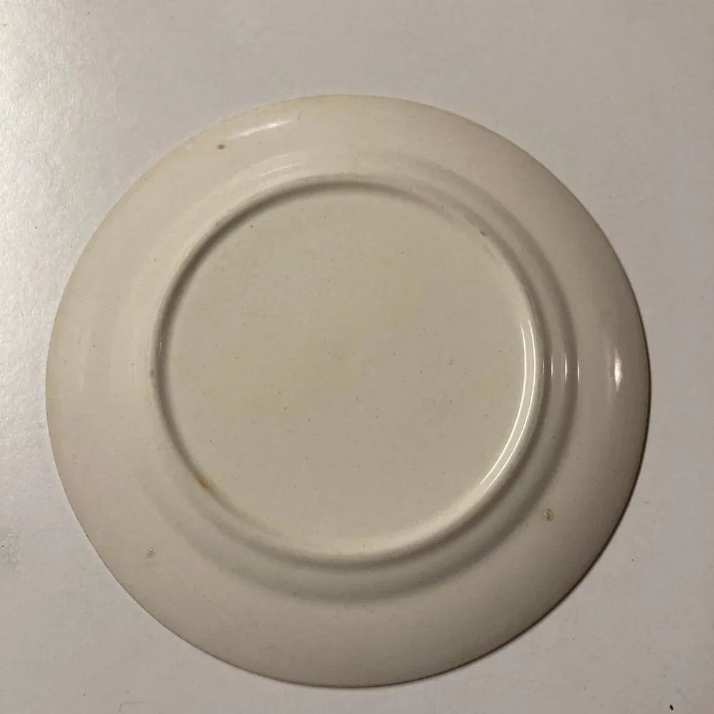 Vintage Salad Plates (2) 6 Inches with Pink & Blue Flowers / Roses